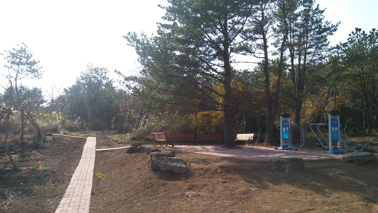 Jeju Youth Hostel Екстер'єр фото