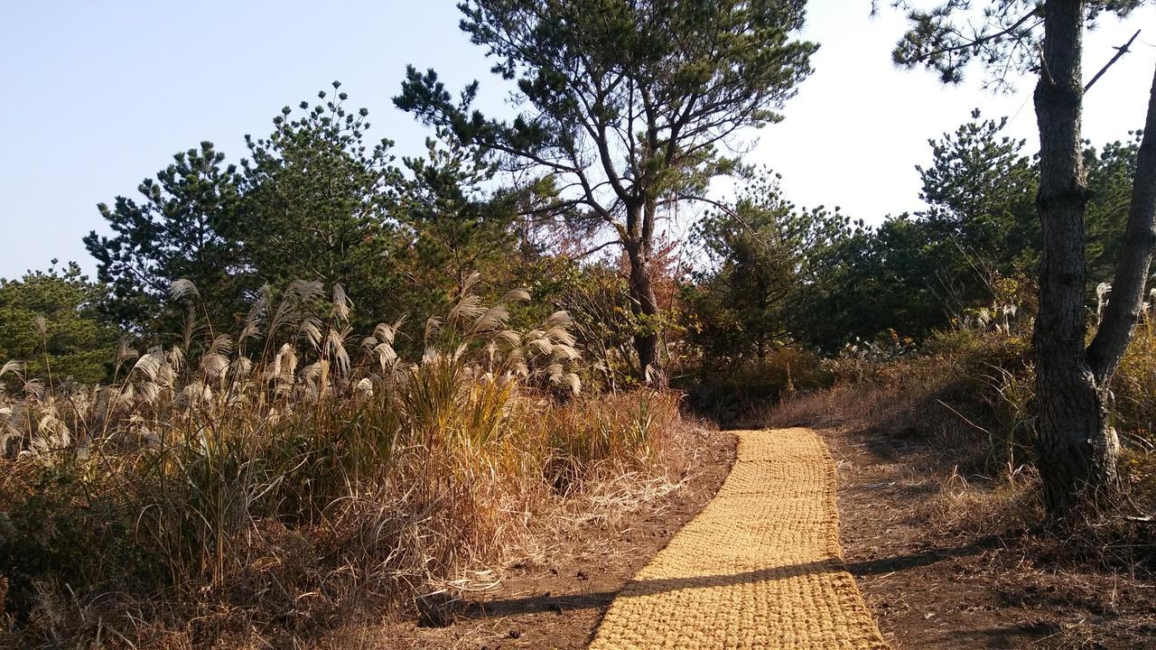 Jeju Youth Hostel Екстер'єр фото