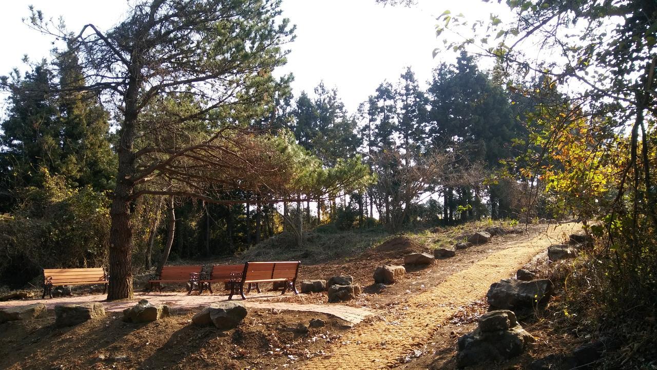 Jeju Youth Hostel Екстер'єр фото