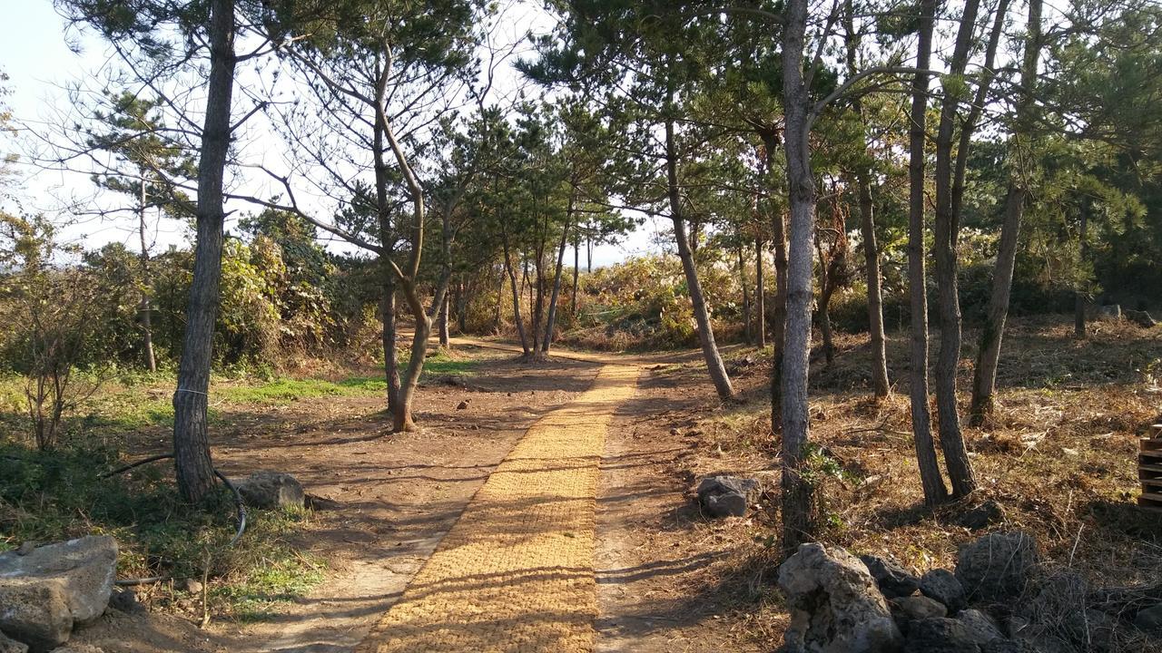 Jeju Youth Hostel Екстер'єр фото